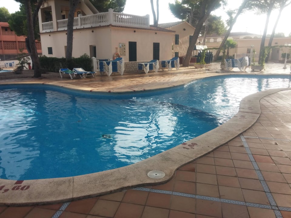 One of the 5 pools MLL Palma Bay Club Resort