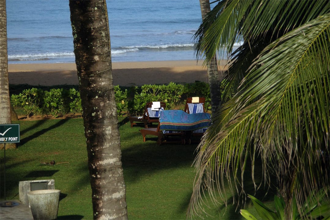 Palmenwiese mit Blick zum Meer Thaala Bentota