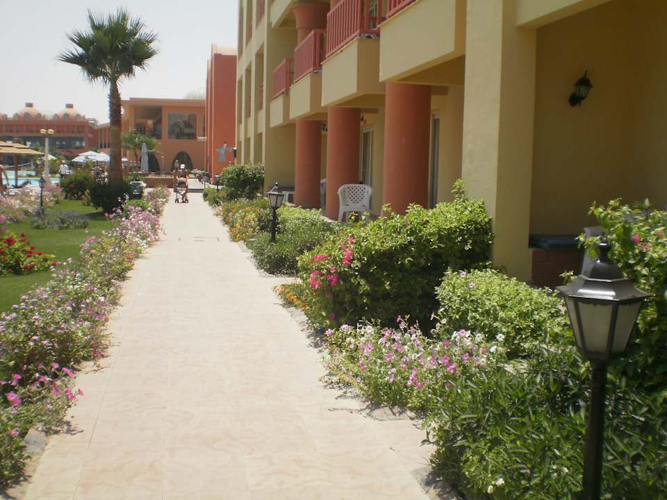 Roślinność hotelu Titanic Beach Spa & Aqua Park