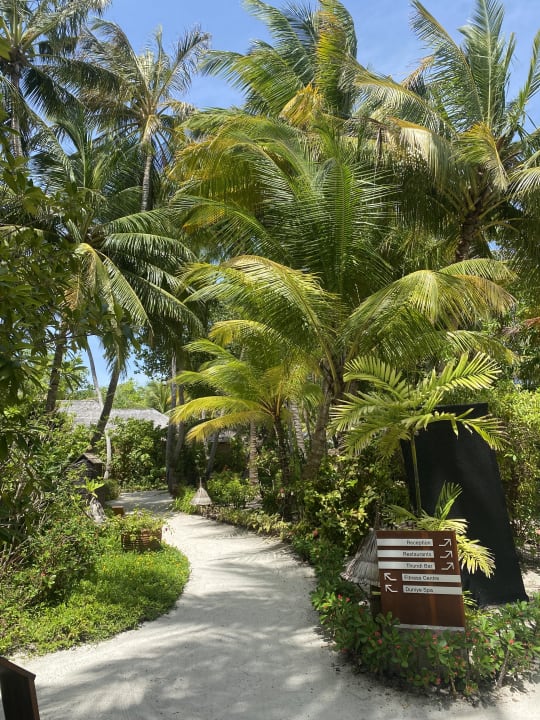 Gartenanlage Veligandu Maldives Resort Island