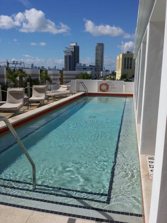 Dachterrasse mit Pool The Local House