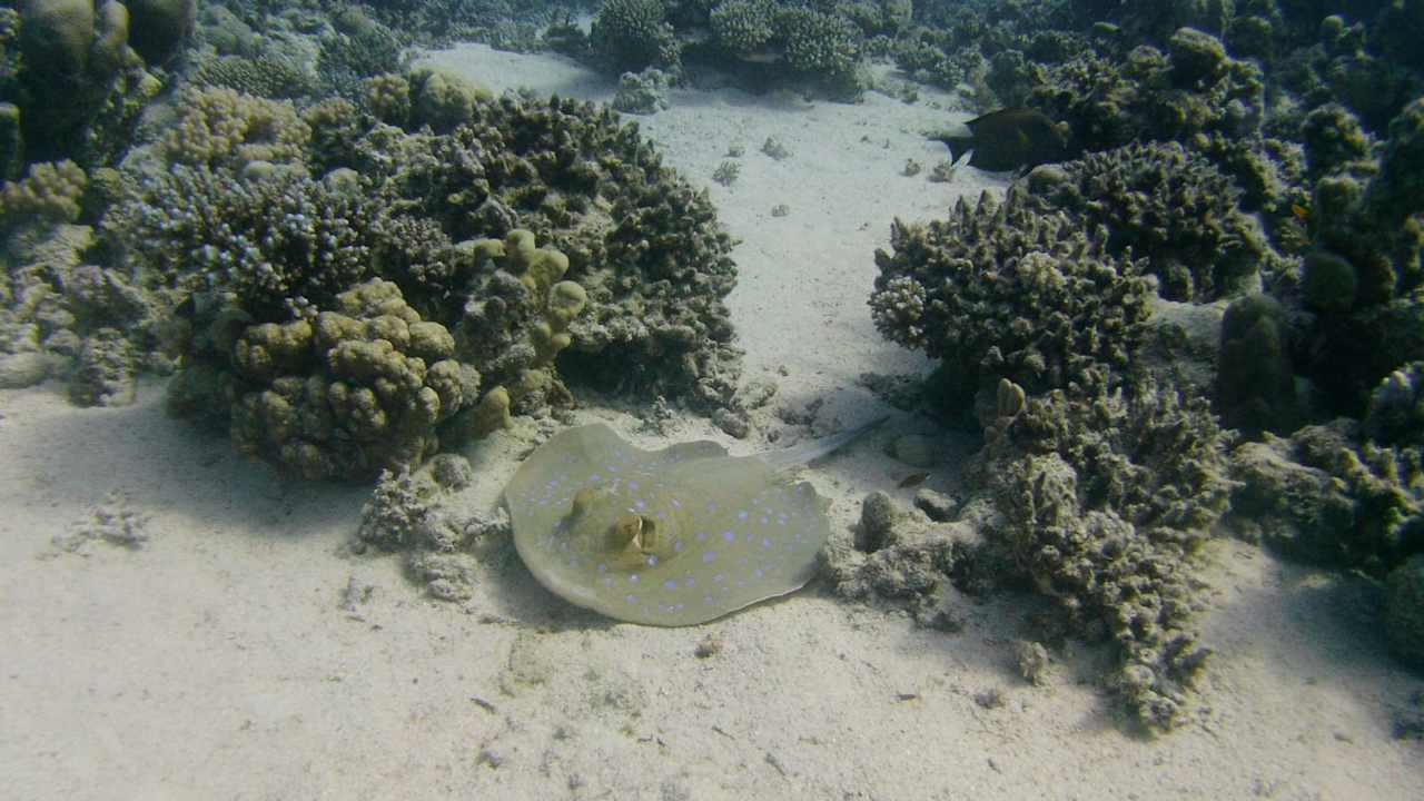 Sport & Freizeit Casa Mare Resort