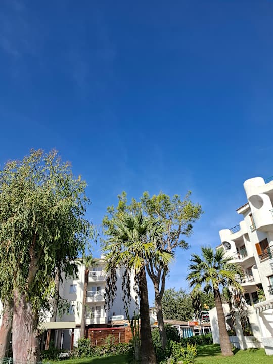 Außenansicht allsun App.-Hotel Orquidea Playa