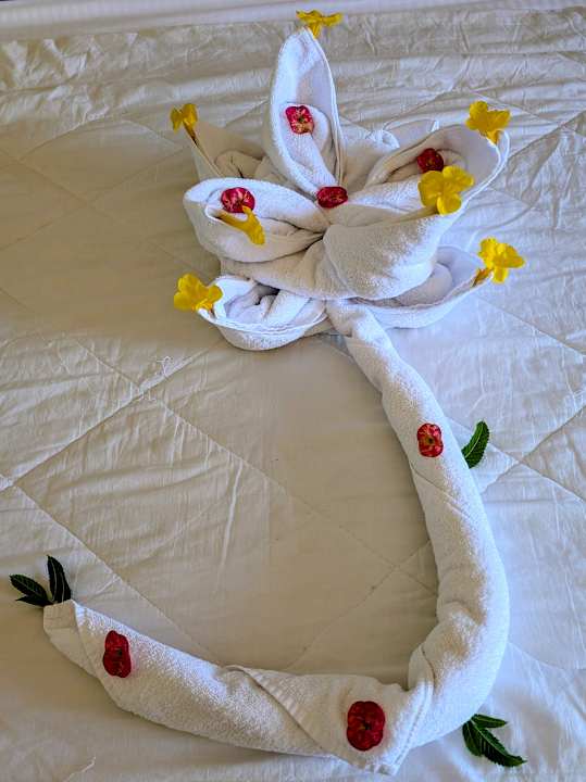 Zimmer Malikia Resort Abu Dabbab