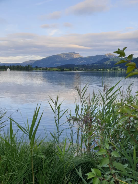 Ausblick Hotel Bellevue am See