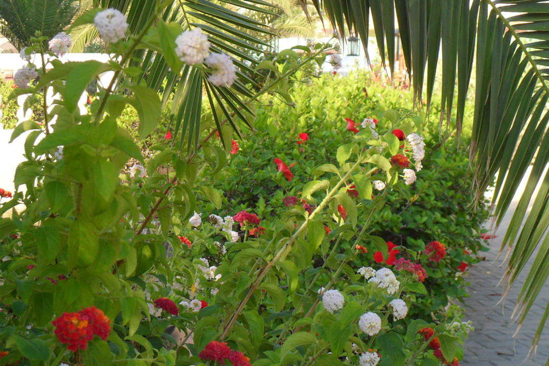 Massif Alassio Hotel and Thalasso