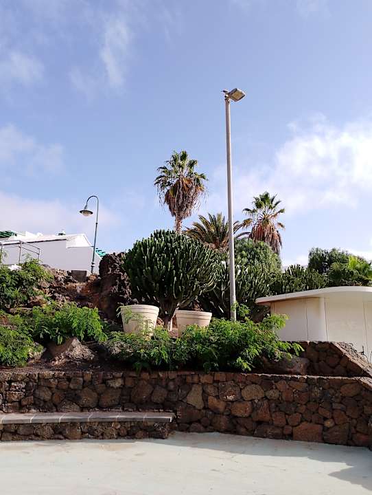 Strand allsun App.-Hotel Albatros