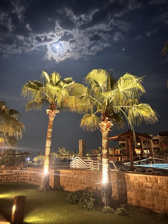 Gartenanlage Casa Mare Resort