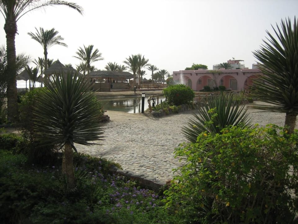 Garten und Strandbar MG Alexander The Great Hotel
