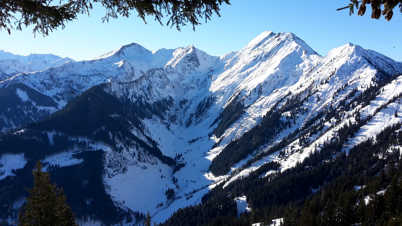 Ausblick Hotel Appartmenthaus Schützenhof - Schied