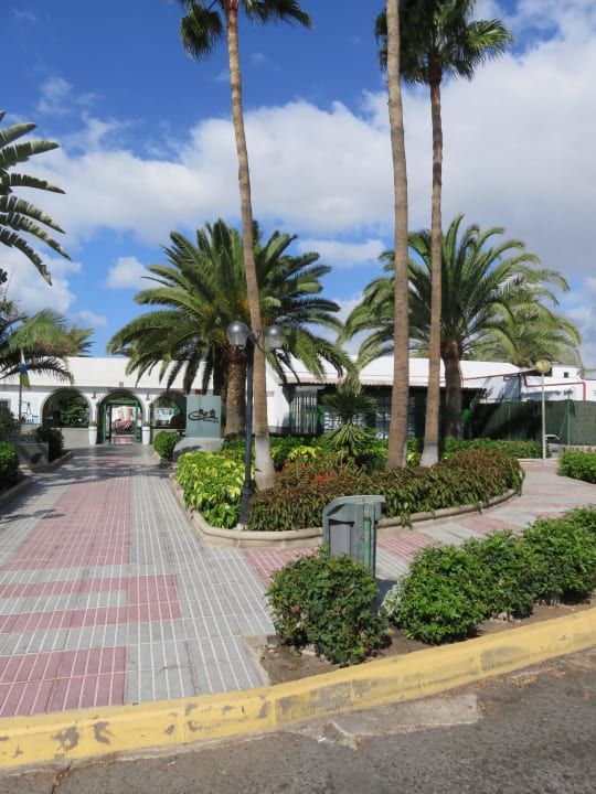 Eingang Canary Garden Club