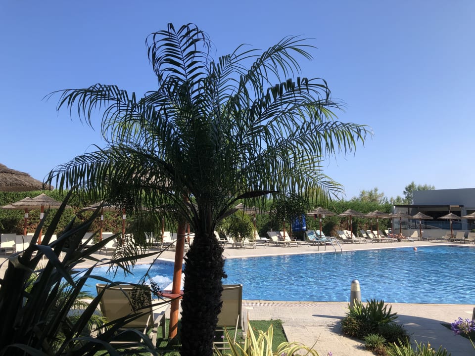 Pool Blue Lagoon Resort