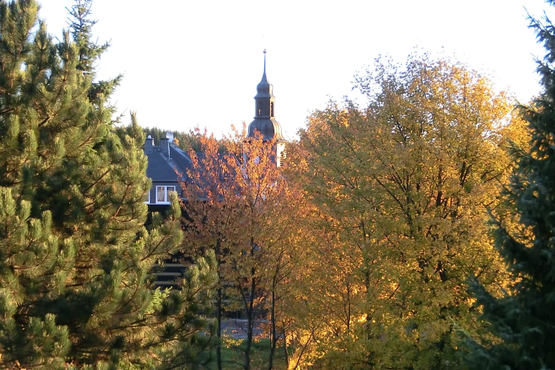 Blick aus dem Hotelfenster AHORN Waldhotel Altenberg