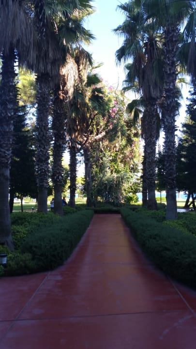 Gartenanlage TUI MAGIC LIFE Beldibi +16