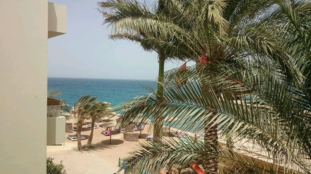 Вид с нашего балкончика Palm Beach Resort