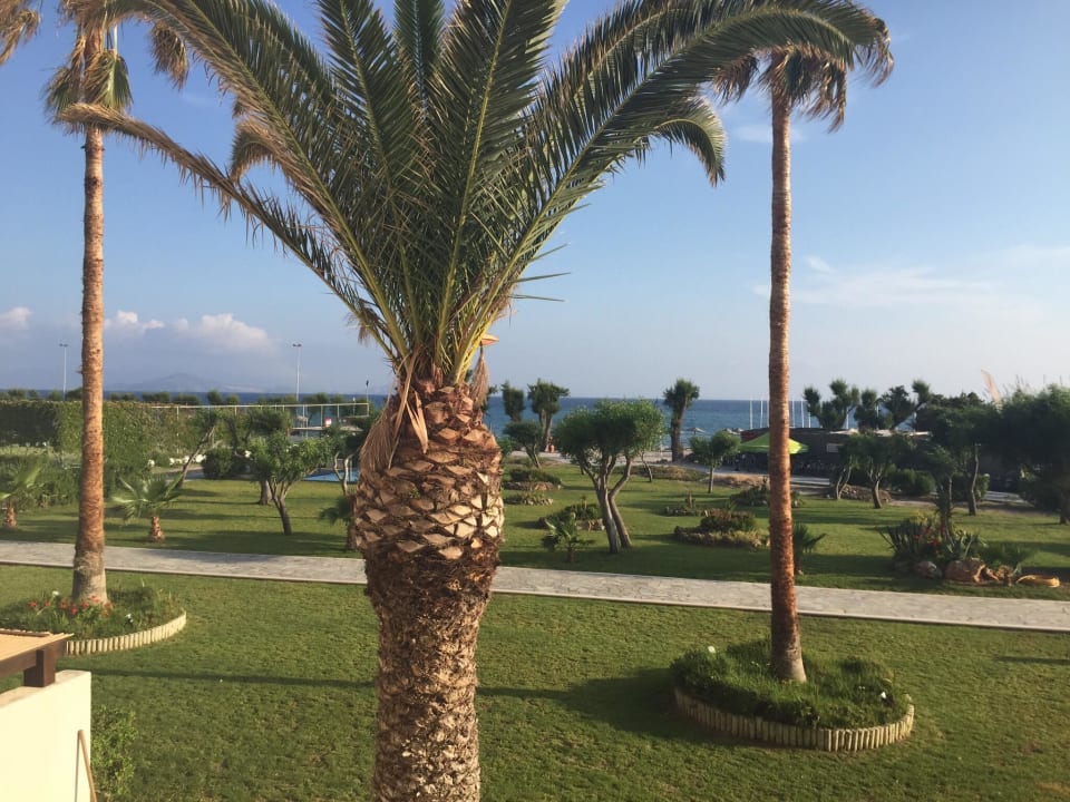 Hotel Lakitira Resort Atlantica Beach Resort Kos