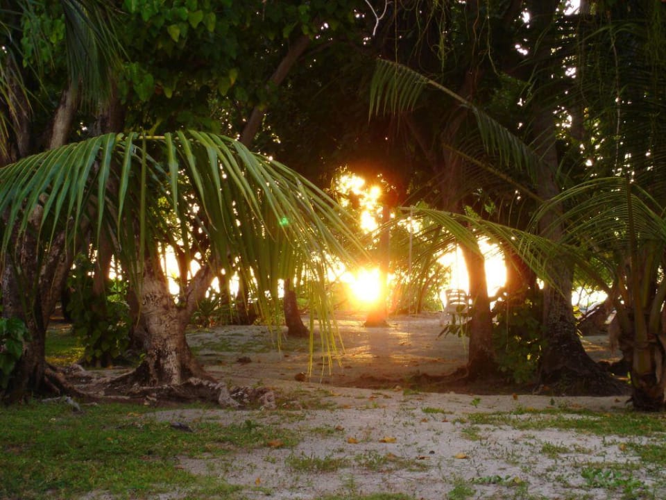 Strand vor der Jakuzzivilla 6er Reihe Meeru Maldives Resort Island