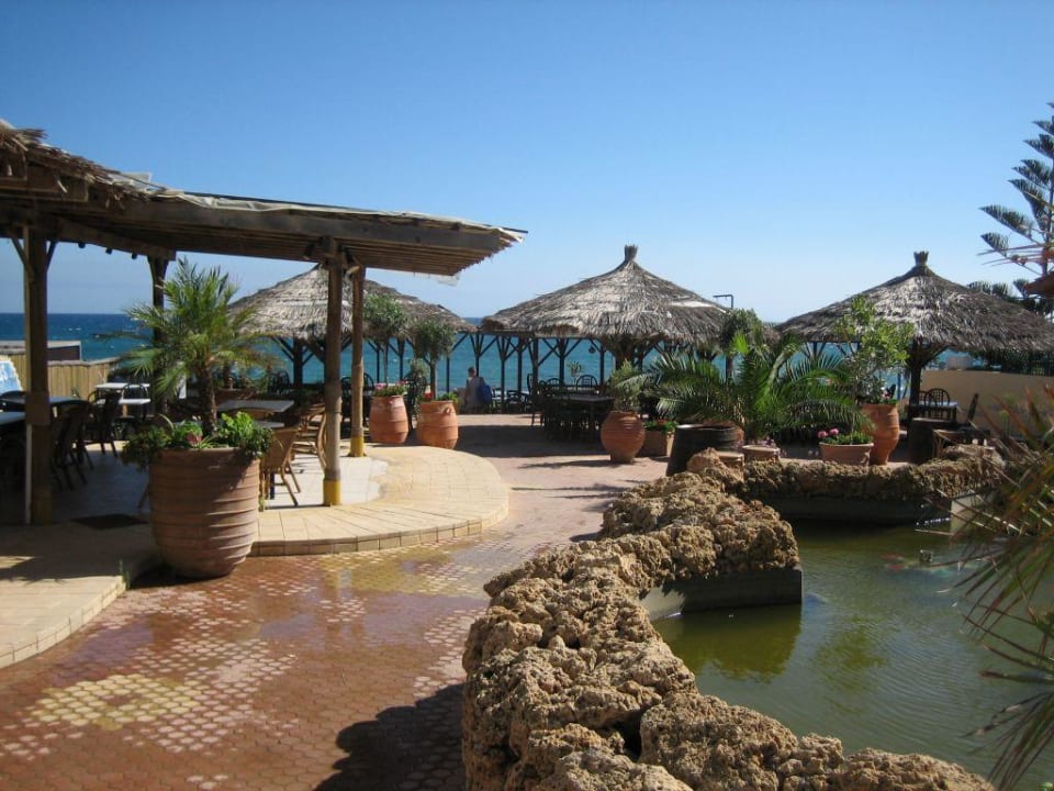 Strand Bar Cactus Beach