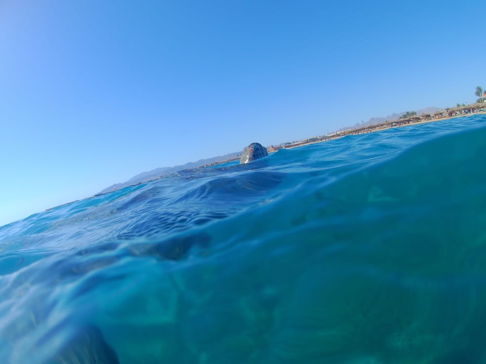 Strand Sentido Caribbean World Soma Bay