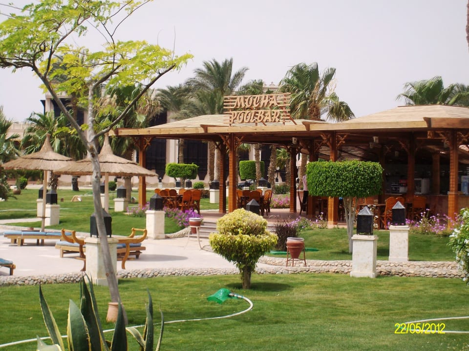 Schöner Garten Beach Albatros Resort