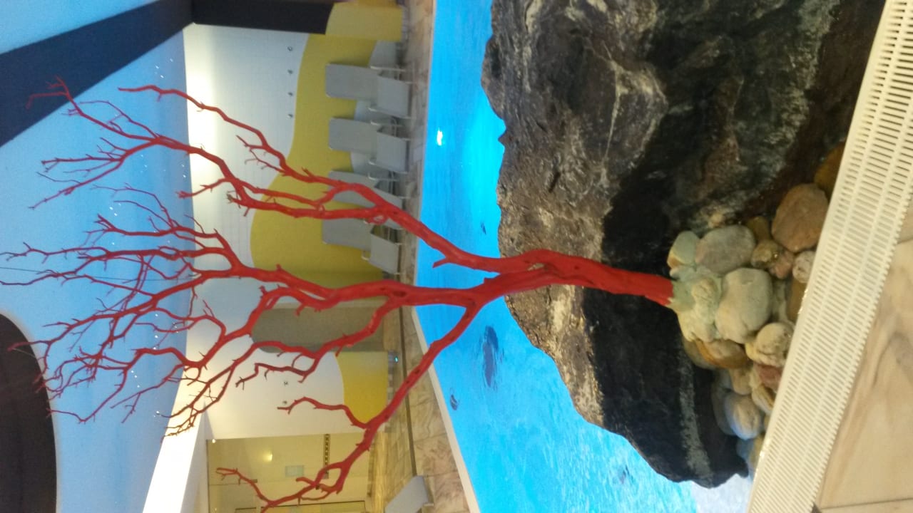 Pool Hotel Almesberger