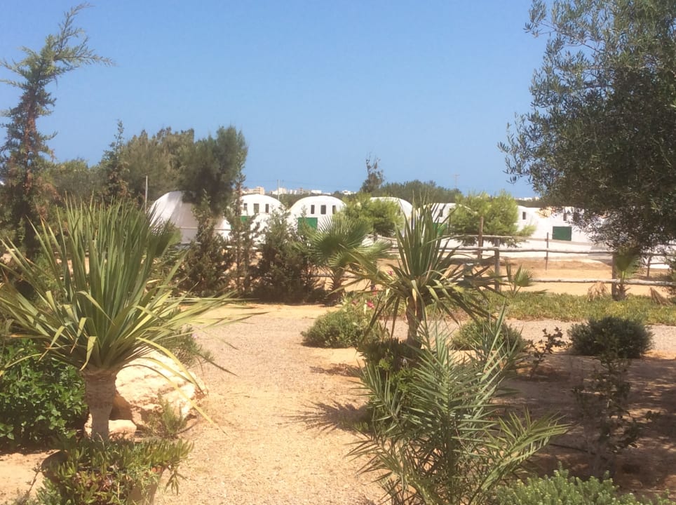 Gartenanlage Maison dˋHôte Domaine El-Manar