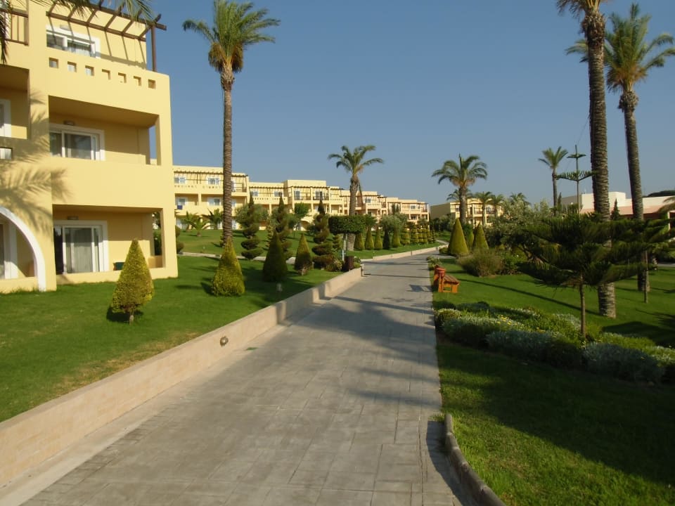 Gartenanlage Hotel Horizon Beach Resort