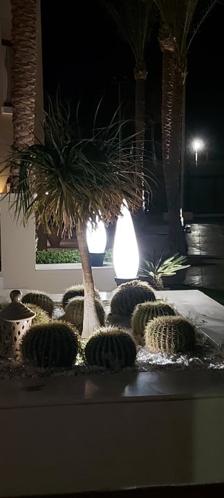 Gartenanlage Hotel JAZ Makadi Star & Spa