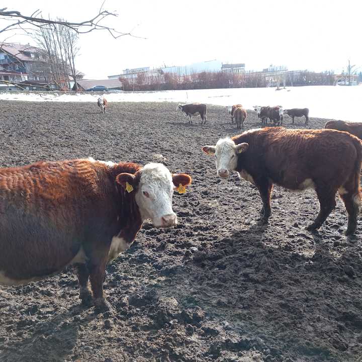 Sonstiges 1. Bier & Wohlfühlhotel Gut Riedelsbach