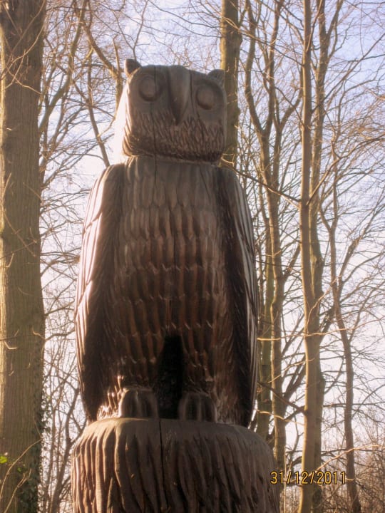 Eule  Zur Kaiserpfalz | Hotel•Restaurant•Spa