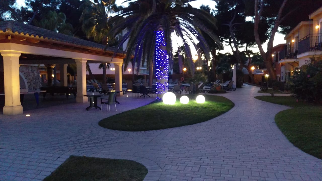 Garten/Pool Occidental Playa de Palma