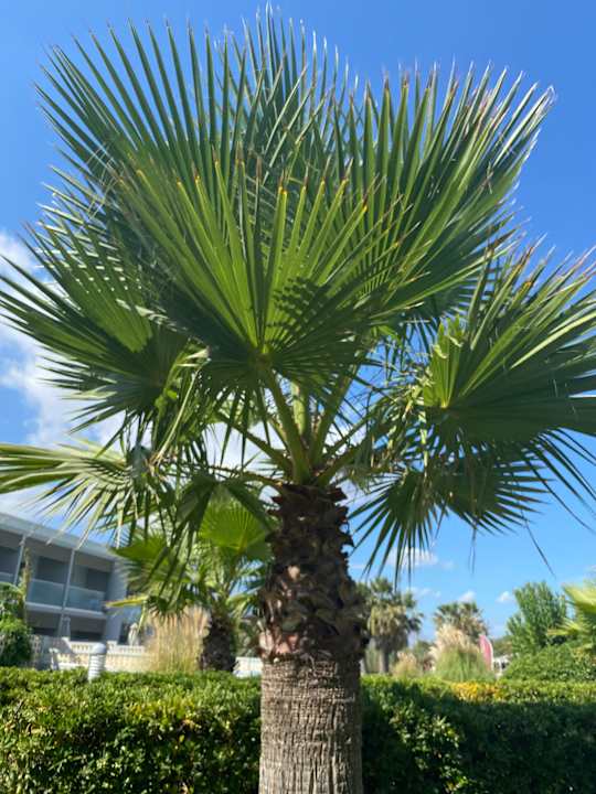 Außenansicht Mythos Palace Resort & Spa