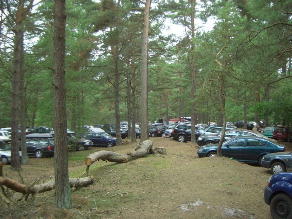 Prerow - Regenbogencamp Regenbogen Ferienanlage Prerow