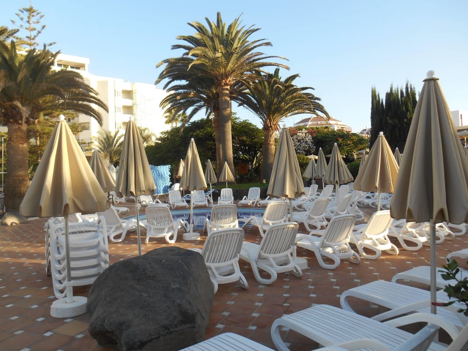 Pool 1 H10 Las Palmeras