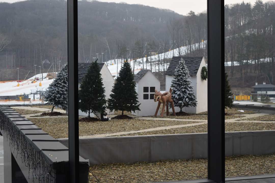 Ausblick Emily Resort