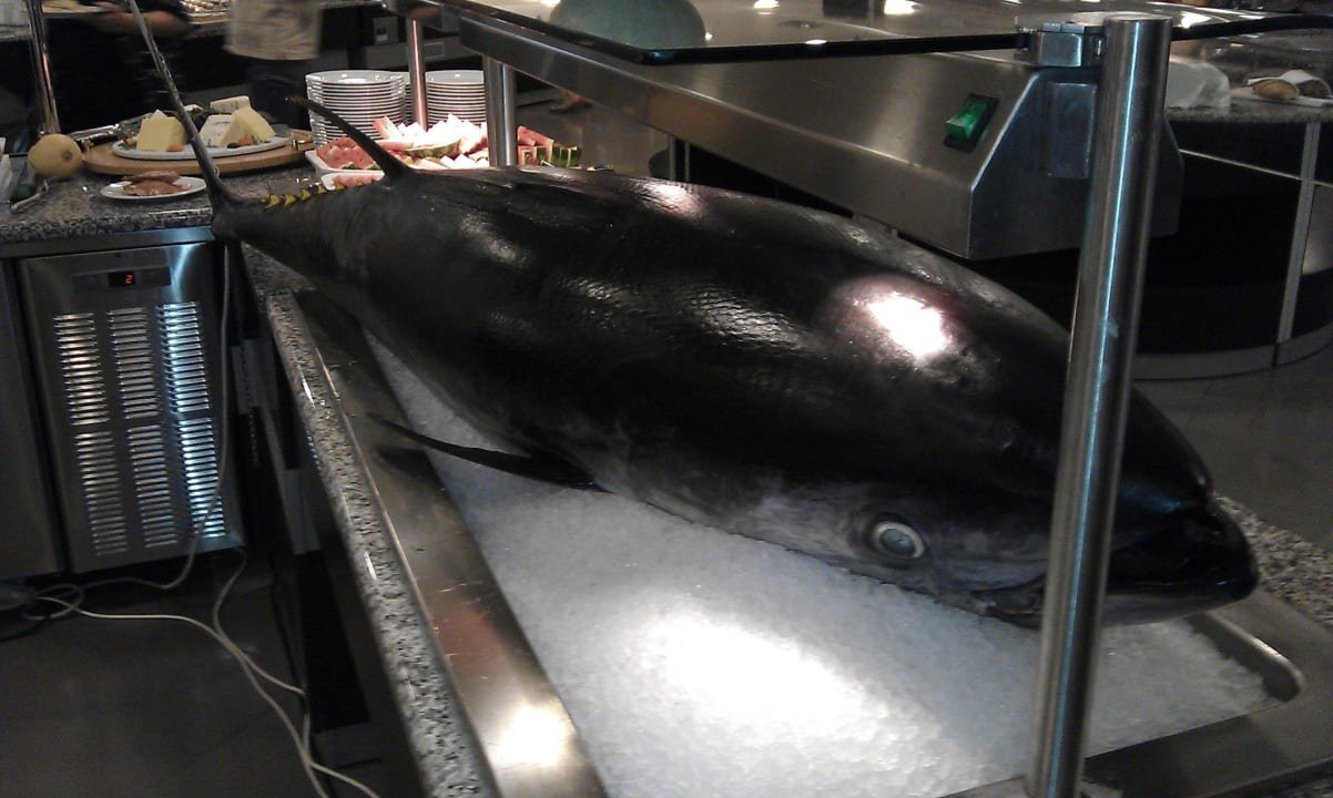 Hotel Aurora Hotel Aurora