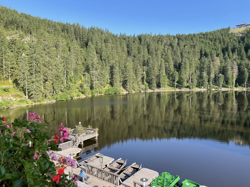 Ausblick Berghotel Mummelsee