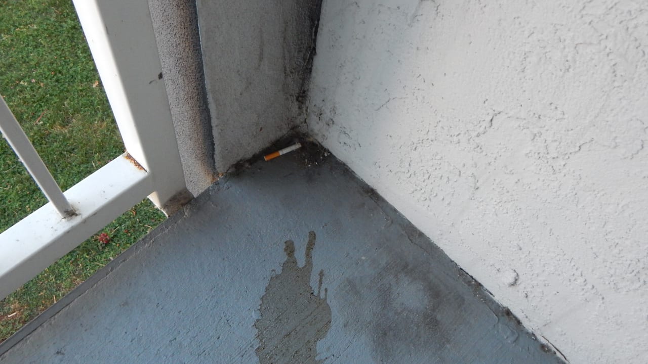 Zimmer SureStay Plus Hotel by Best Western Sacramento North