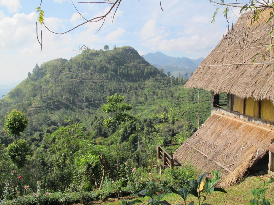 Adams Peak 98 Acres Resort