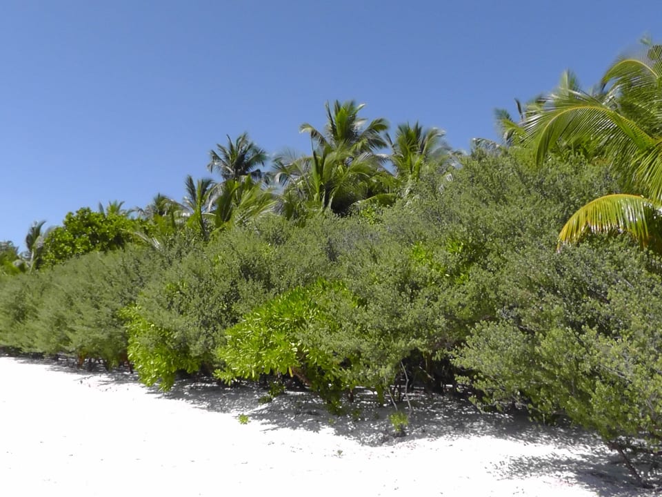 Strand Medhufushi Island Resort