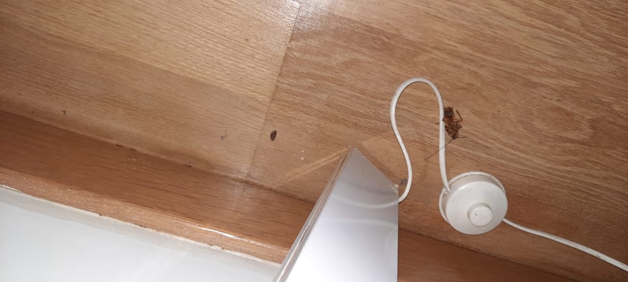 Zimmer Alp Pasa Hotel - Special Class