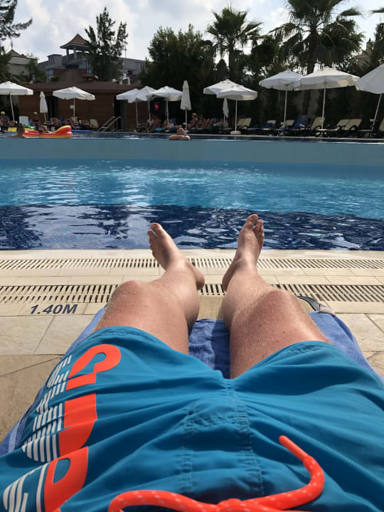 Pool Well Palace Side