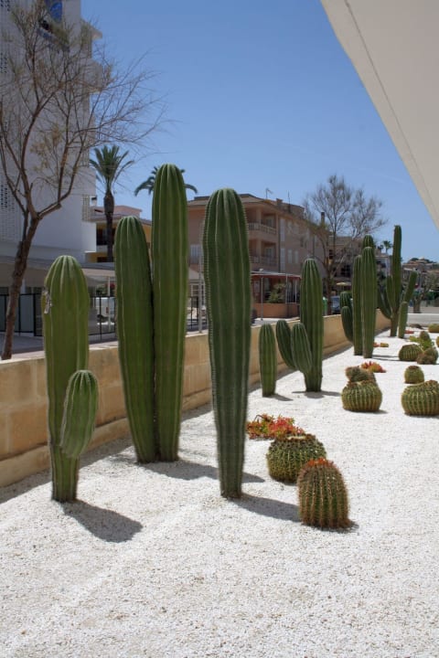 Außenansicht The Sea Hotel by Grupotel - Adults only