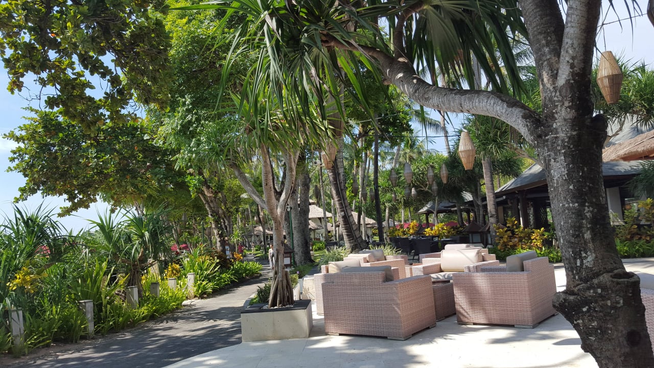 Beachbar The Laguna A Luxury Collection Resort & Spa