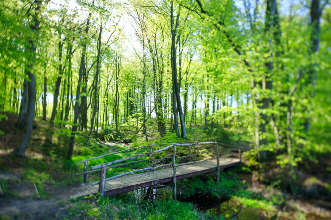 Sport & Freizeit Hotel Dolina Charlotty Resort & Spa