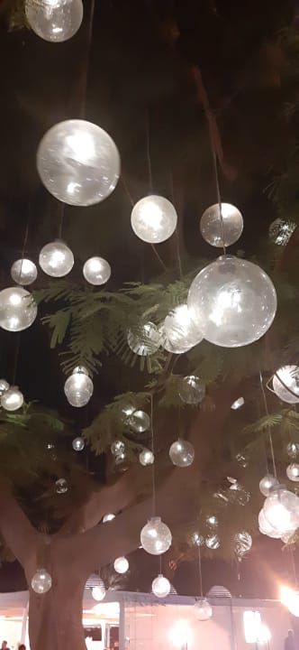 Gartenanlage Desert Rose