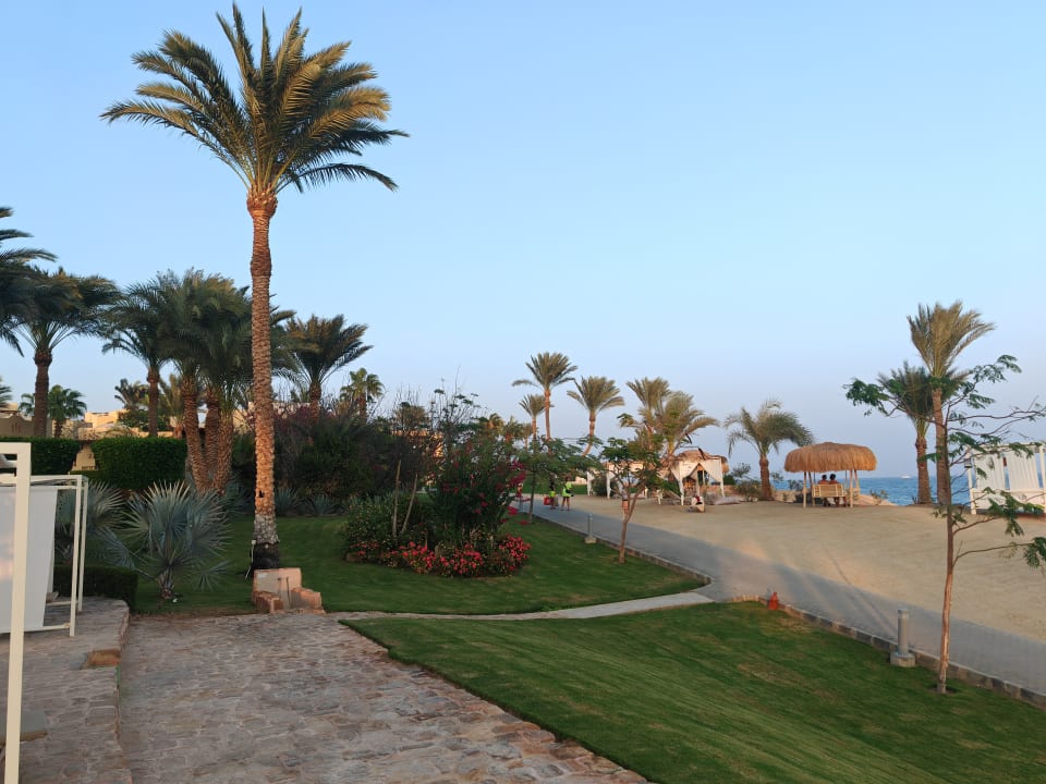 Gartenanlage Steigenberger Coraya Beach - Adults only