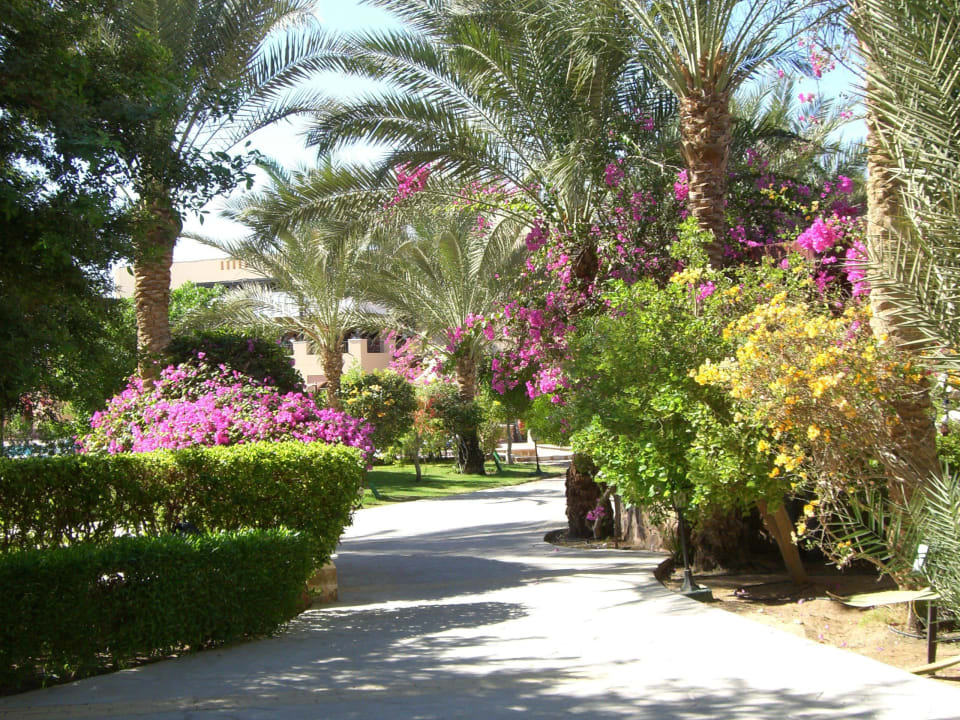 Weg zur Lobby Steigenberger Coraya Beach - Adults only