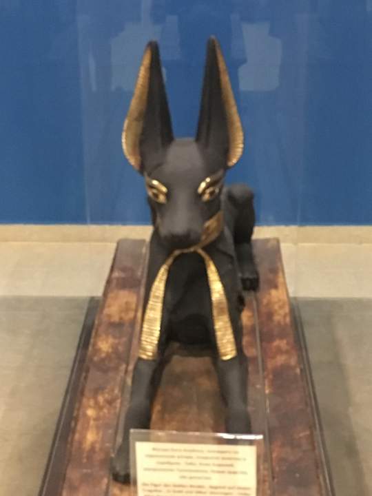 Sonstiges Pickalbatros Alf Leila Wa Leila Resort - Neverland Hurghada