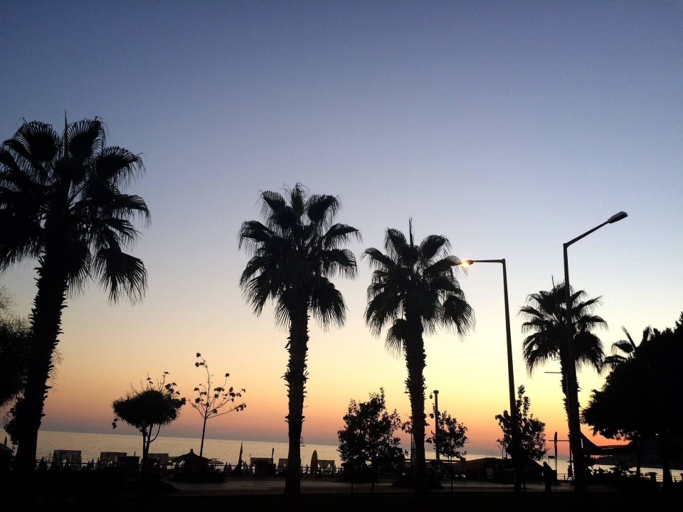 View at the the beach from the hotel Kleopatra Life Hotel